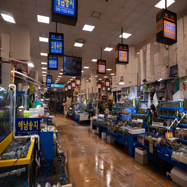 Seoul: The Biggest Sea-food Noryangjin Market Tour - Who this tour suits best