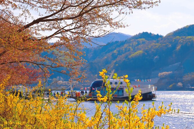 Seoul Vicinity 5 in 1: Nami Island, Garden of Morning Calm & More - Why This Seoul Area 5-in-1 Tour Feels Like Smart Time Use