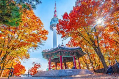 Small Group (7pax) Seoul Tour with Pickup/Dropoff (No Shopping) - Gwanghwamun Square to Gyeongbokgung: the palace morning that matters