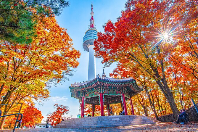 Small Group (7pax) Seoul Tour with Pickup/Dropoff (No Shopping) - Gwanghwamun Square to Gyeongbokgung: the palace morning that matters