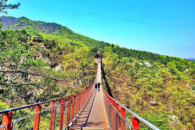 Small-Group DMZ Tour w/ North Korea Experience Hall & Susp.Bridge - Dora Observatory: seeing North Korea through telescopes
