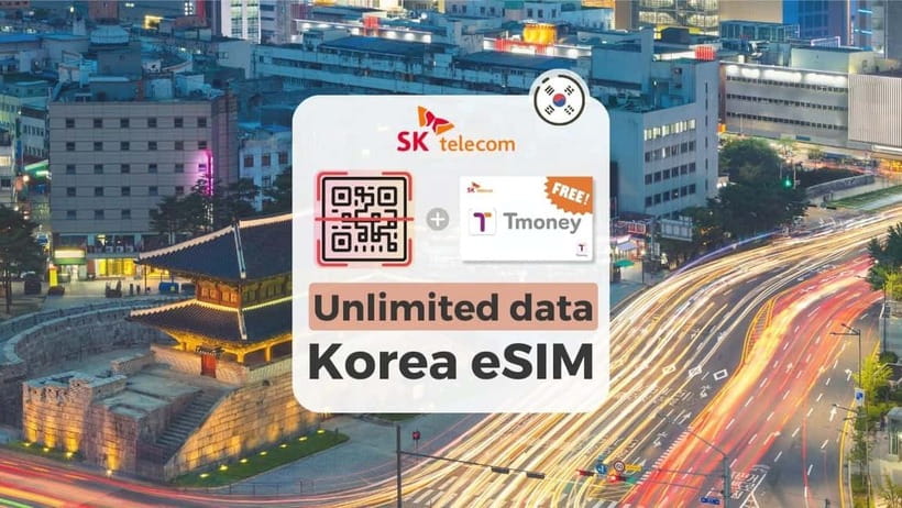 South Korea: Unlimited Data and Voice eSIM - The flow you’ll follow: from email to working phone