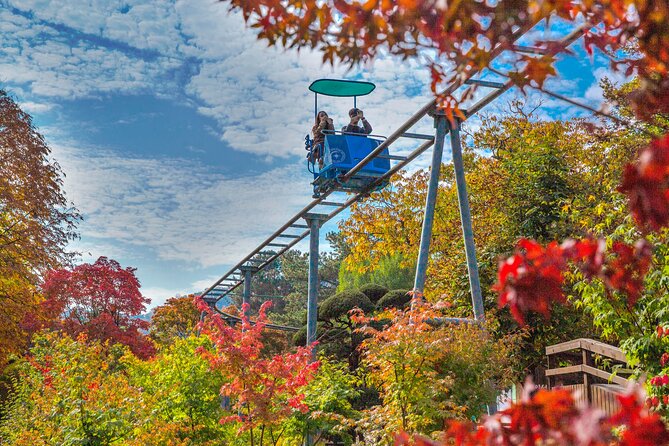 Special Private Tour Nami Island, Rail Bike, Petite France - Price and What $275 Really Buys You