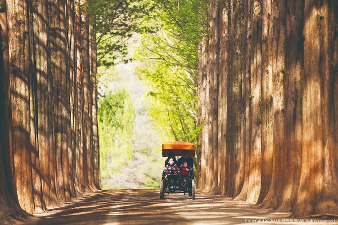 Special Private Tour Nami Island, Rail Bike, Petite France - Gangchon Rail Bike: Zelkova Tunnel Thrills and a 30m-High Bridge View