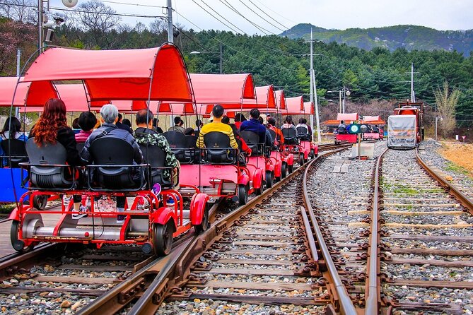 Special Private Tour Nami Island, Rail Bike, Petite France - Lunch at 호원가든: Chuncheon Chicken Barbecue Stop