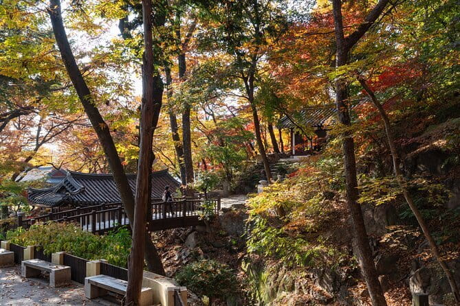 Street photoshoot and Seoul Hidden gem History Walking Tour - The photo package: what you get, how it’s delivered, and why it’s fair