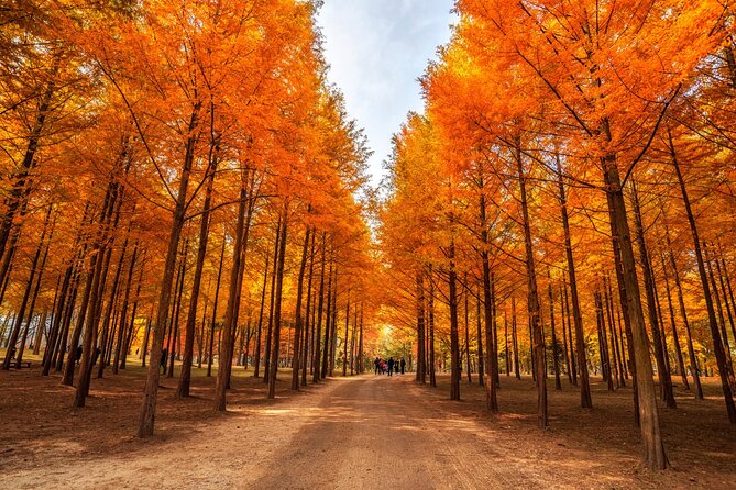 Trip to Nami Island with Petite France & Italian Village, Garden of Morning Calm - Why This Day Trip Works From Seoul