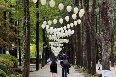 Trip to Nami Island with Petite France & Italian Village, Garden of Morning Calm - Getting There Without the Bus Puzzle