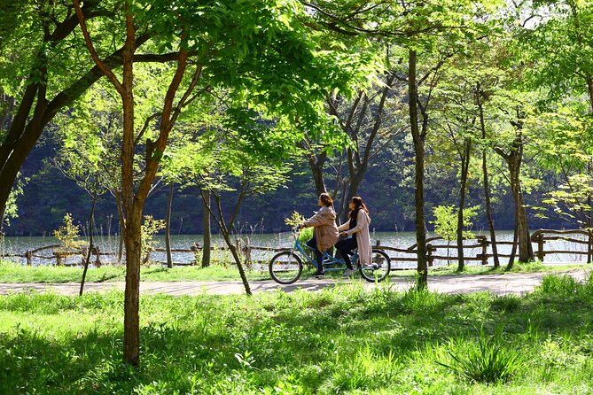 Trip to Nami Island with Petite France & Italian Village, Garden of Morning Calm - Price and Logistics: What $78.10 Really Buys You