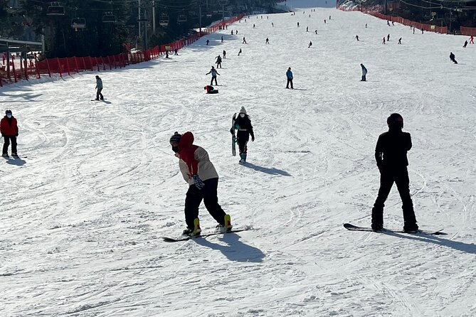 Yongpyong Ski Resort from Seoul with Optional Lesson and Packages - Should you book this tour?